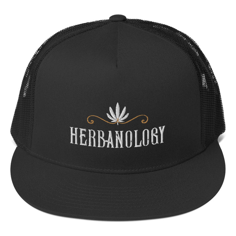 Unisex Trucker Cap in Black with 2 Color Logo
