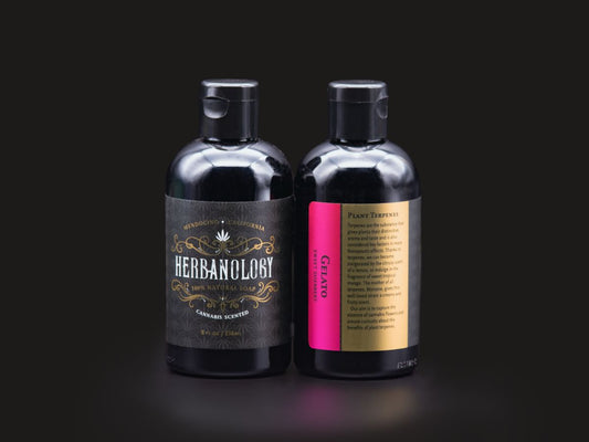 Gelato 8oz Liquid Castile Soap