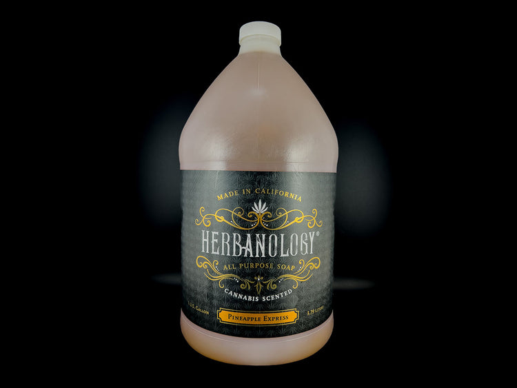 Pineapple Express One Gallon Liquid Castile Soap