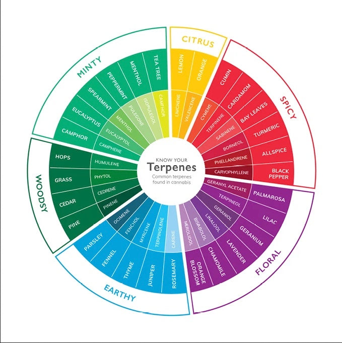 Terpene Chart herbanology aromatics flavor scent smell