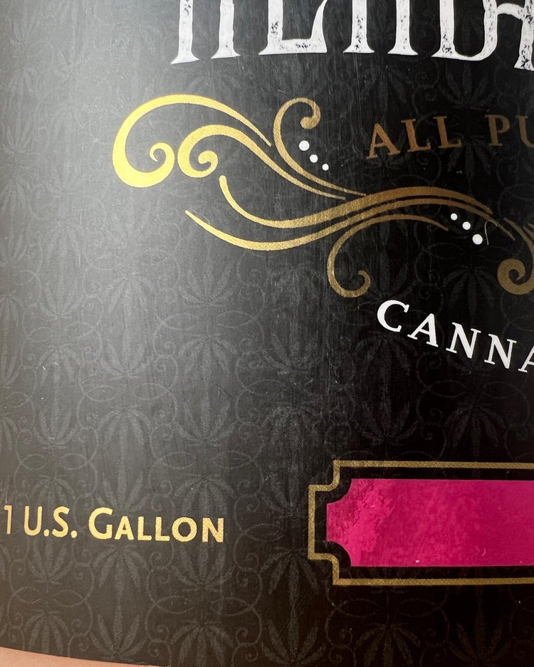 Gelato One Gallon Cannabis Scented Liquid Castile Soap